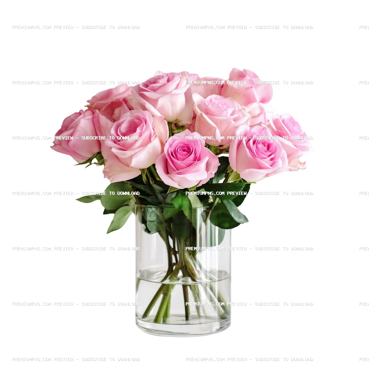 Beautiful pink roses arranged in a glass vase against a minimalist white background
