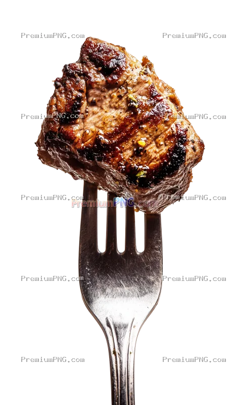 Creative food stock photo featuring a perfectly grilled piece of meat on a fork presented against a
