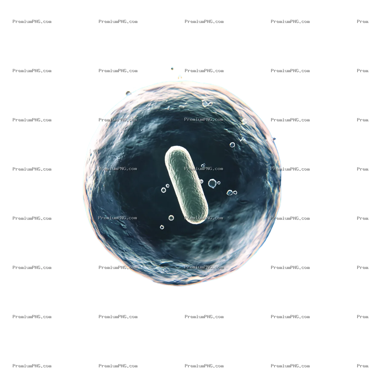 a single rod-shaped microbe freely floating inside a perfectly spherical, semi-transparent hydrogel