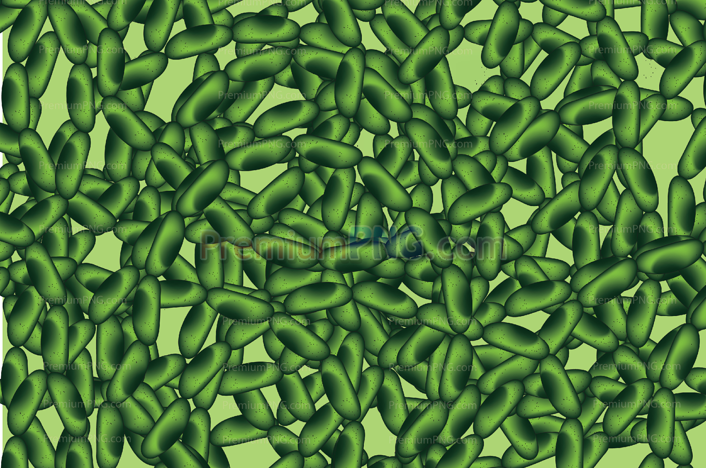 Cyanobacteria Vector Images: Royalty-Free Microalgae & Blue-Green Algae Vectors