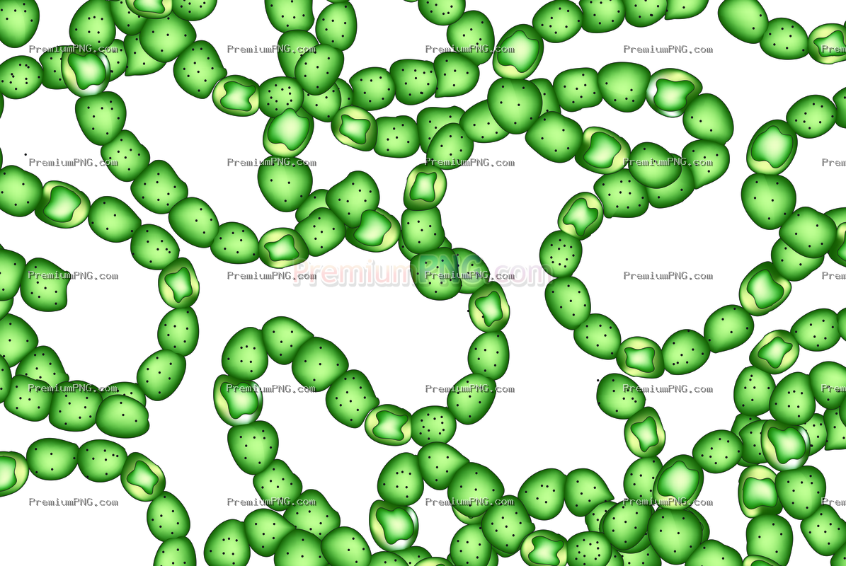 nostoc vector eps
