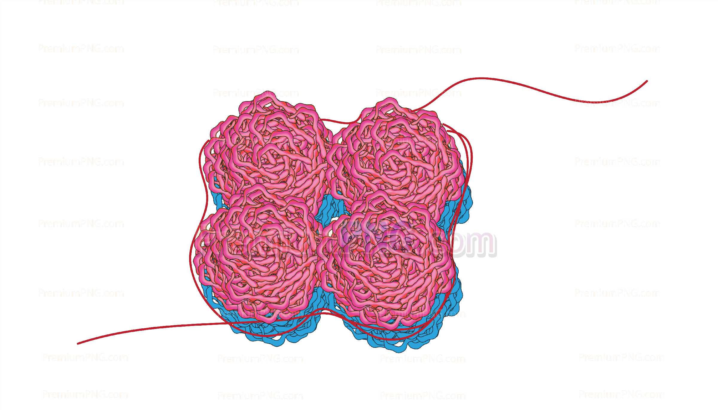 Histone protein vector eps