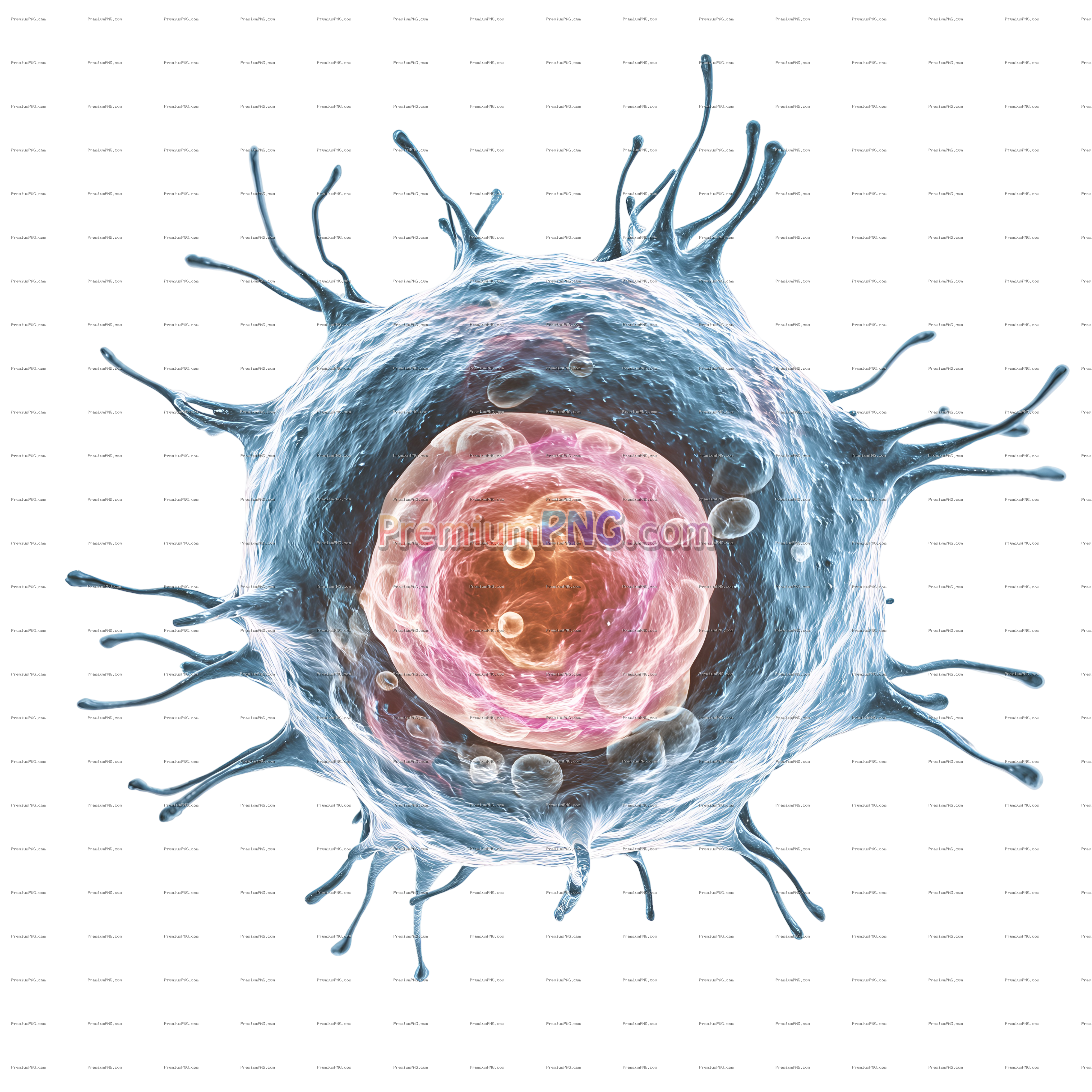 a hormonal cell in transparent background