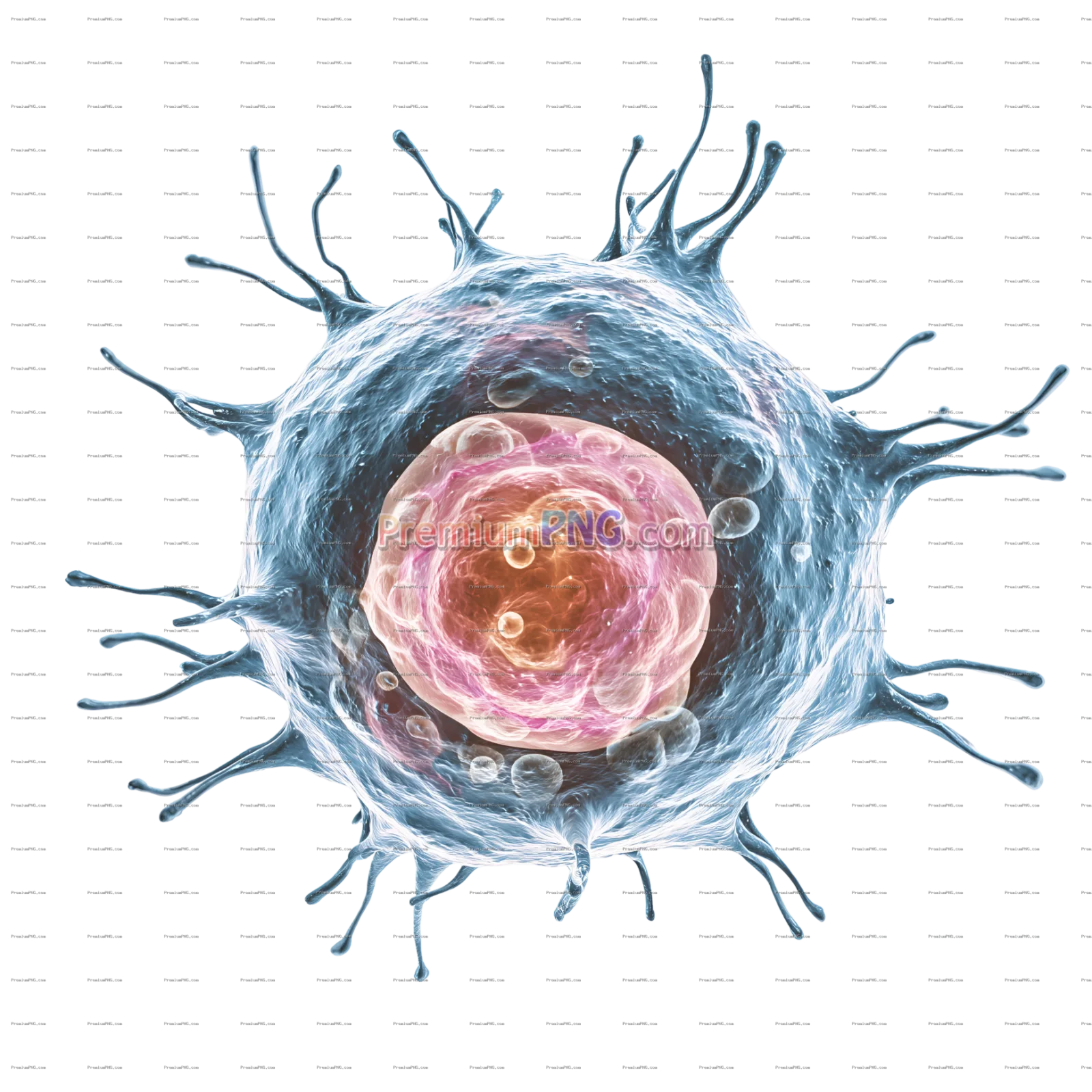 a hormonal cell in transparent background