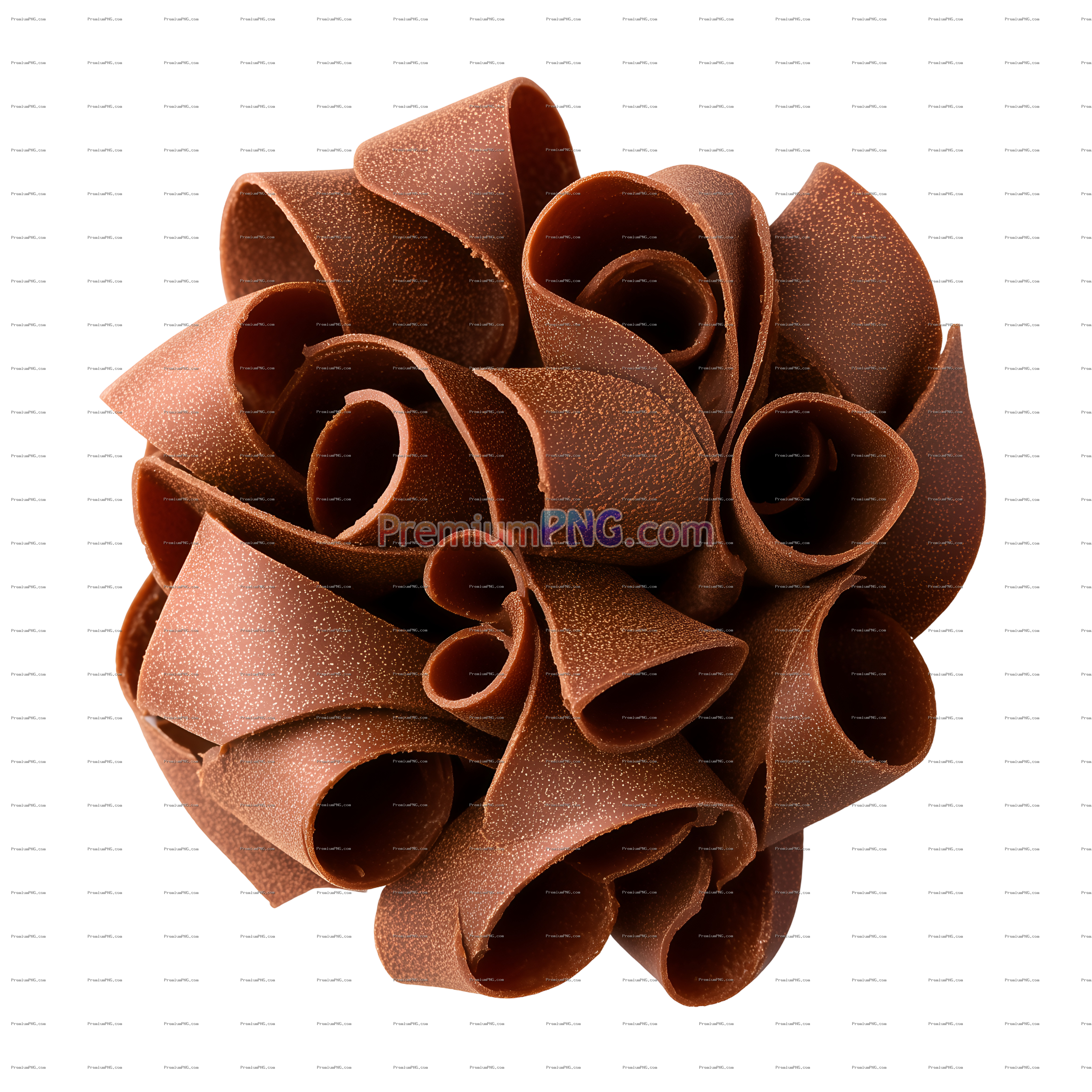 Detailed Milk Chocolate Curls Studio Shot