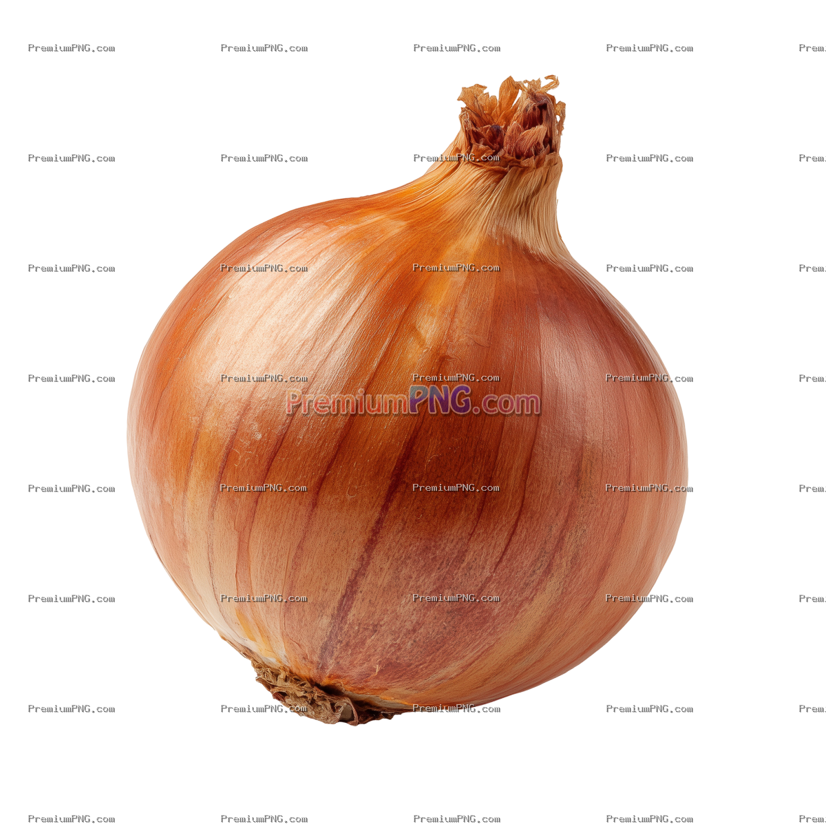 Onion Isolated on Transparent Background
