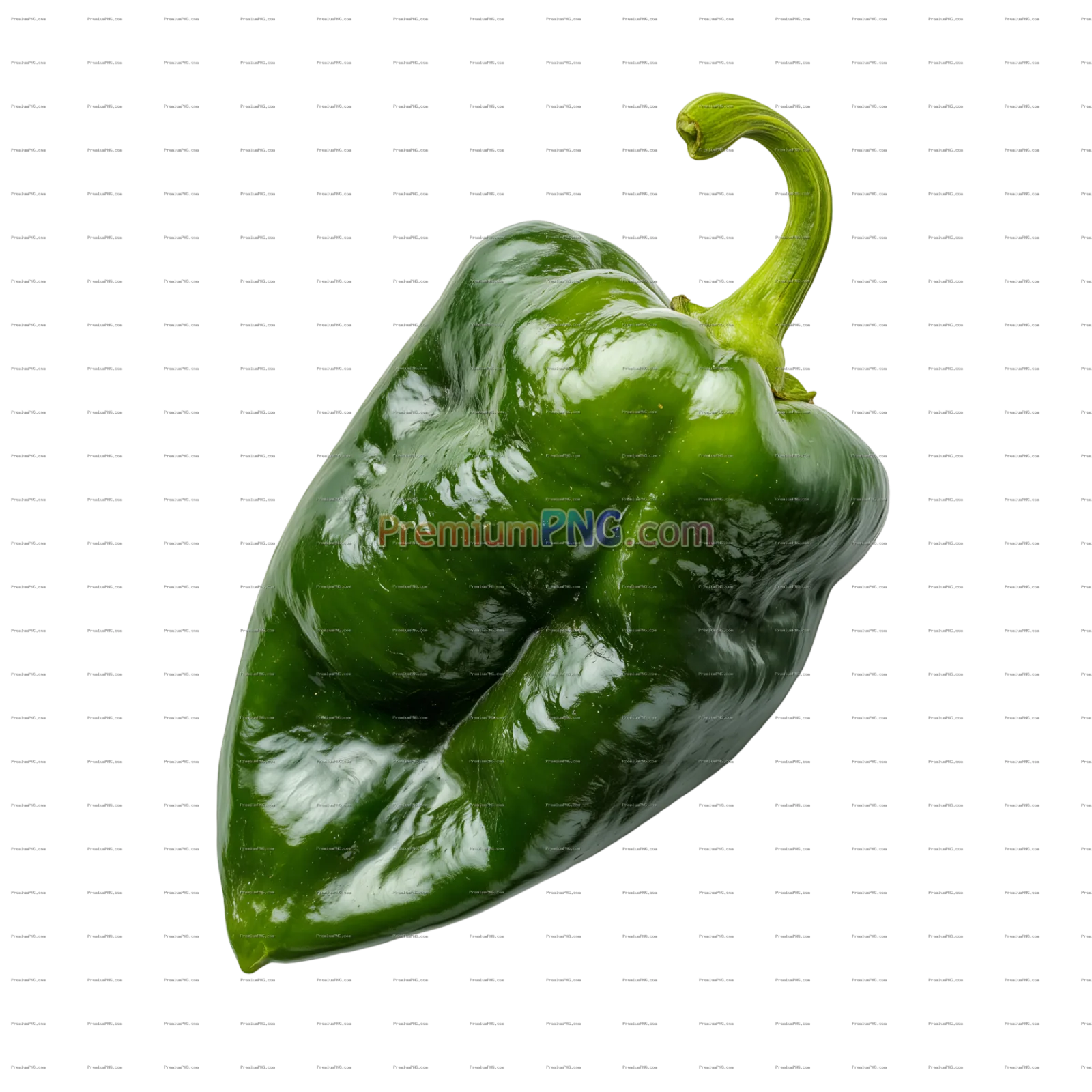 Green poblano pepper with a slightly wrinkled surface and a curved stem