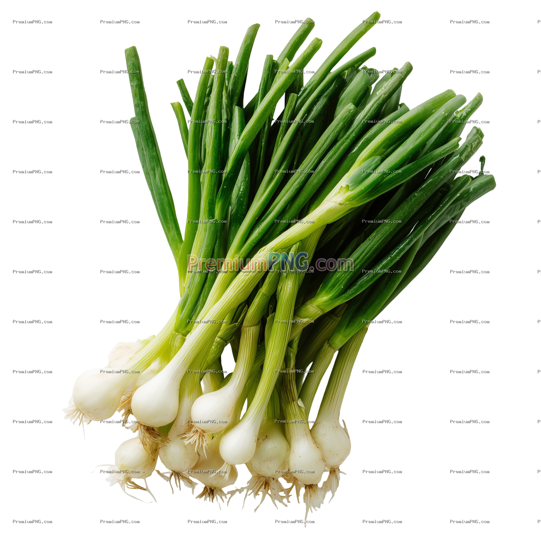 Fresh Green Onions (Scallions) with Vibrant Green Tops and White Bulbs