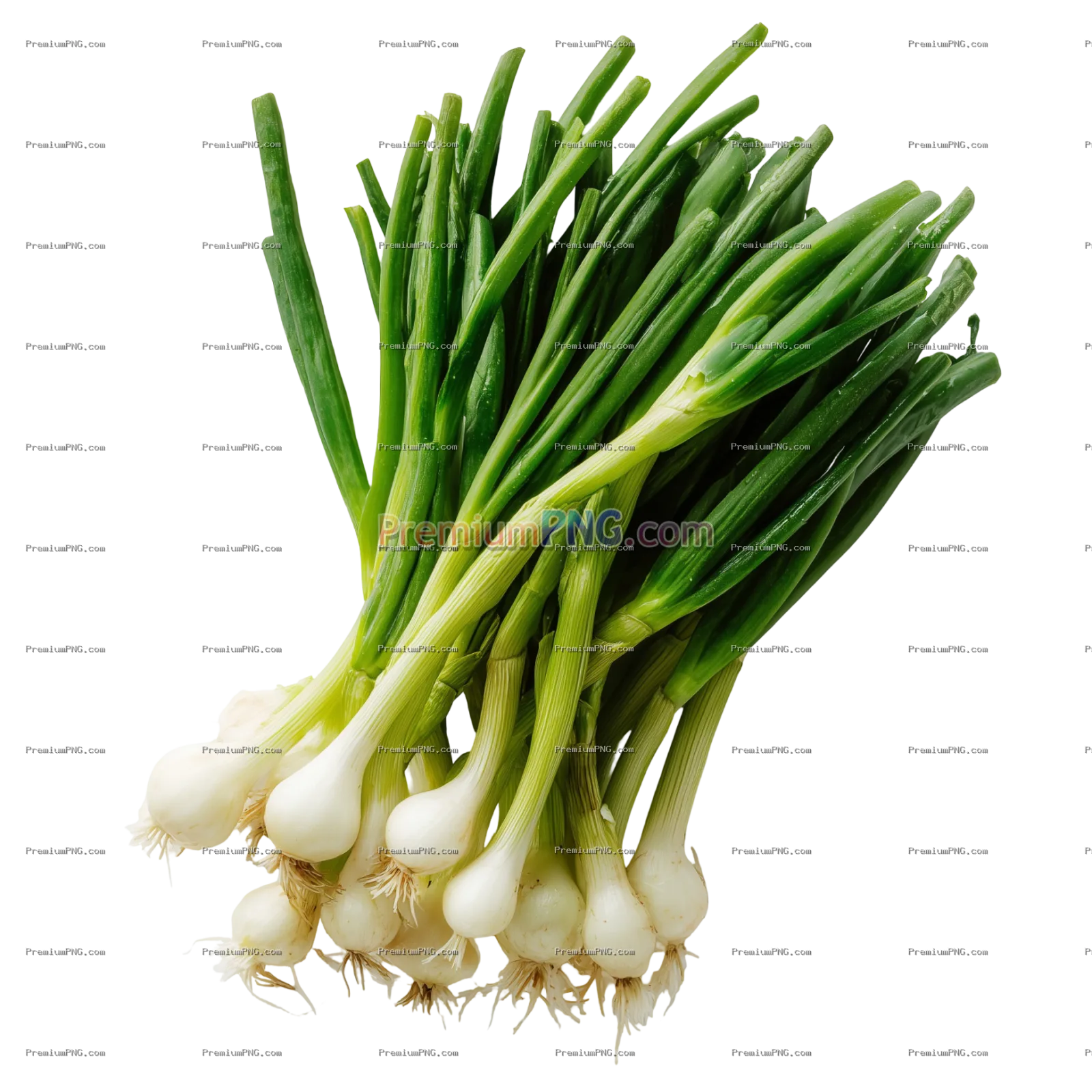 Fresh Green Onions (Scallions) with Vibrant Green Tops and White Bulbs