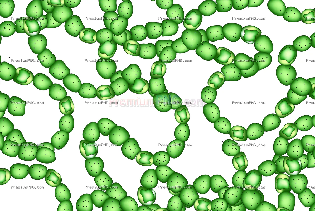 nostoc vector eps