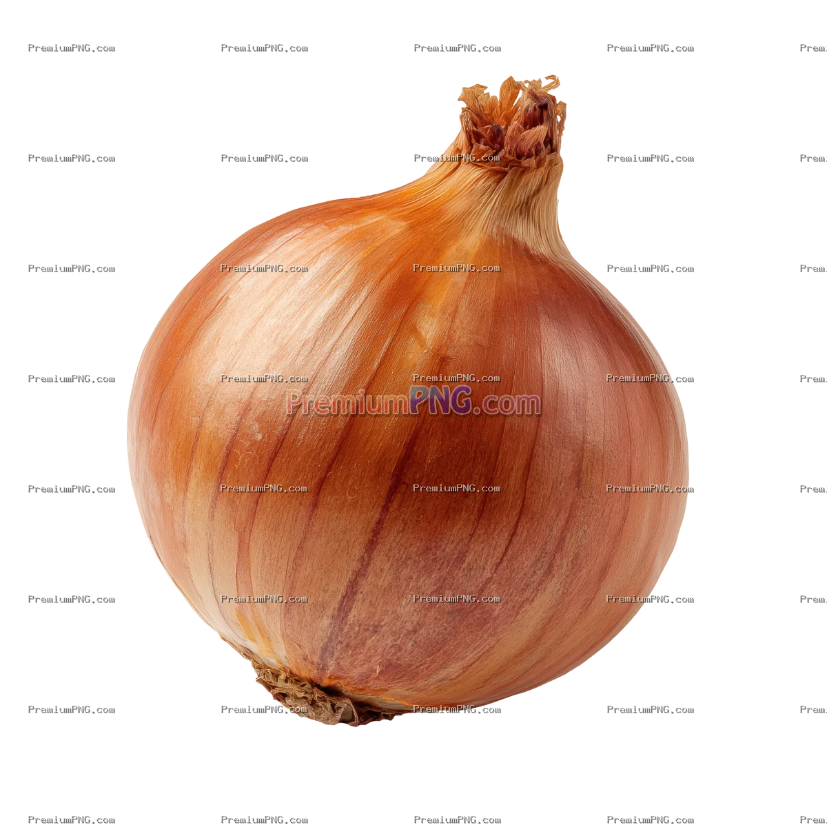 Onion Isolated on Transparent Background