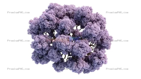 Plants and Flowers category