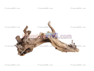 Related image: A dead wood, white background, clean background attractive
