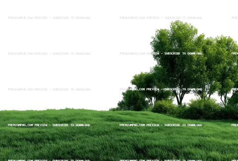 A green, grassy field with trees on the side, with a transparent background