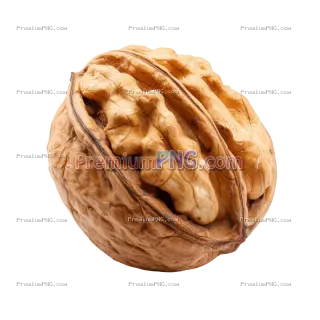Related image: a walnut, isolated object, white background, centered composition, clean design