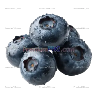 Related image: Blueberry Fruit Isolated on Transparent PNG Background