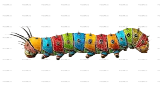 Related image: Colorful Caterpillar Isolated on Transparent Background – Vibrant Cute Insect PNG