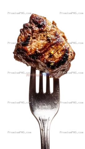 Creative food stock photo featuring a perfectly grilled piece of meat on a fork presented against a