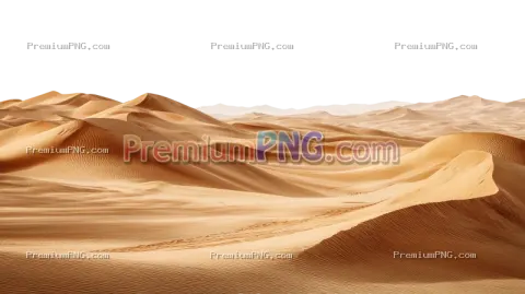 Desert sand dunes landscape on transparent sky background