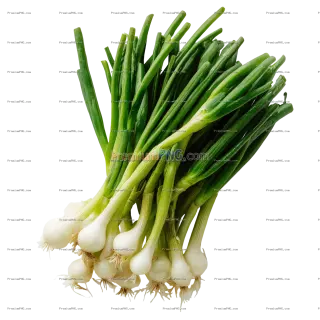 Related image: Fresh Green Onions (Scallions) with Vibrant Green Tops and White Bulbs