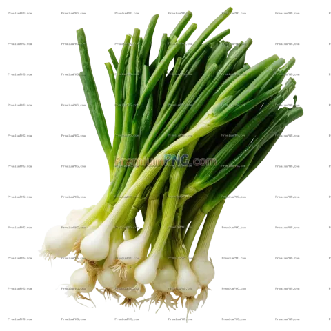 Fresh Green Onions (Scallions) with Vibrant Green Tops and White Bulbs