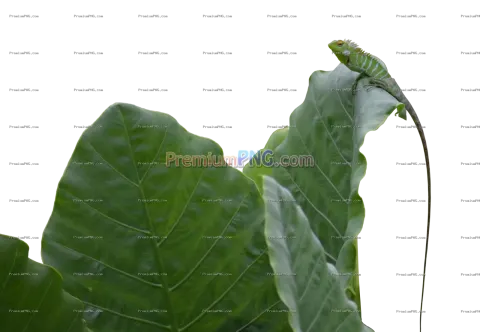 Hidden Green Lizard on Leaf – Camouflaged Reptile Wildlife Exclusive Image