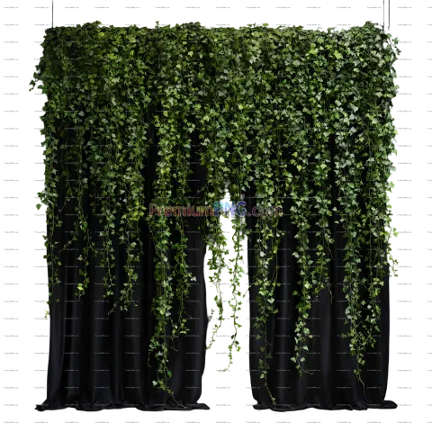 Lush Ivy Vines on Black Curtain PNG Graphic Transparent Background